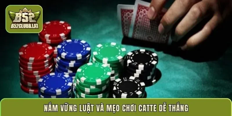 Nắm vững luật và mẹo chơi catte dễ thắng